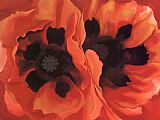 Oriental Poppies 1928 by Georgia O'Keeffe